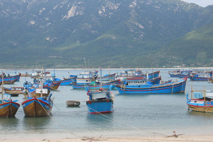 Fishing boats off Nha Trang Vietnam - Ed Yourdon NY