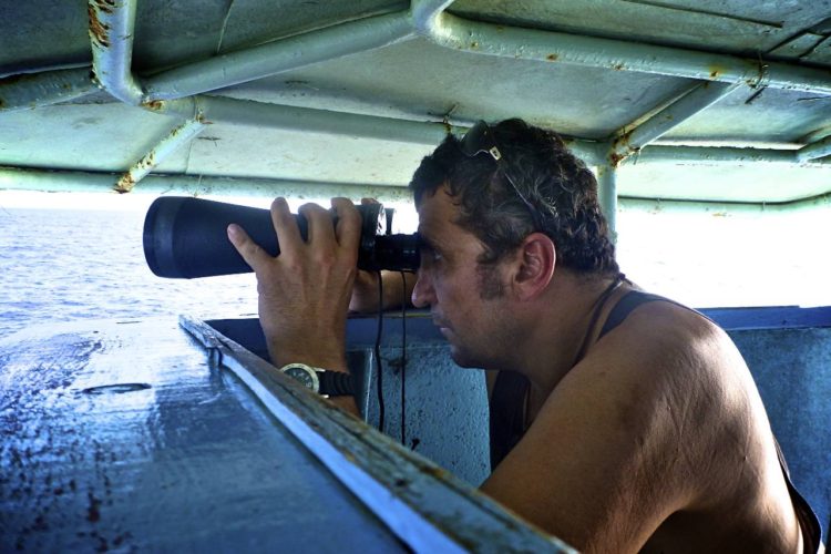 Man on fishing vessel looking through binoculars for seabirds diving onto baited hooks. Photo: Francisco Blaha.