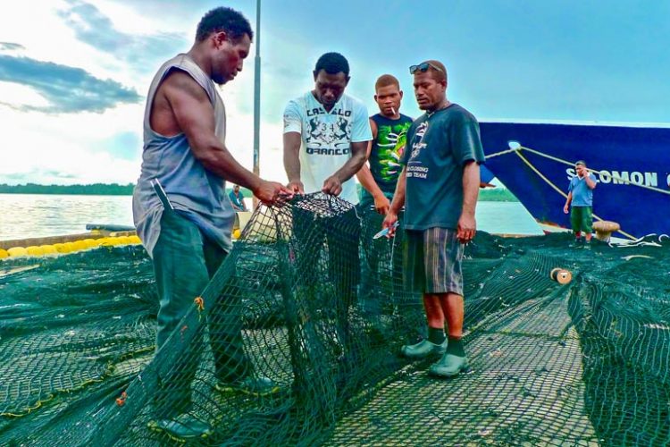 Wharf with purse-seine fishing net spread over it for repair. In foreground, four men inspecting a piece of net. A man, the prow of a ship and the sea in the background. Kitano wharf, Noro, Solomon Islands. Photo Francisco Blaha.