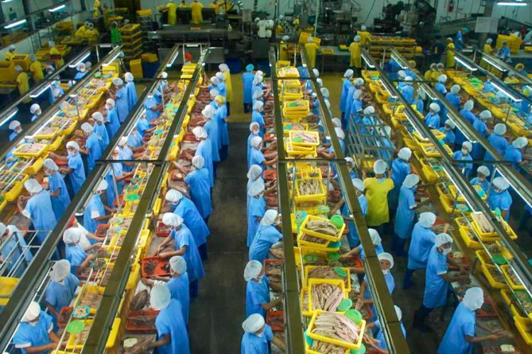 Tuna processing plant. Photo: Francisco Blaha.