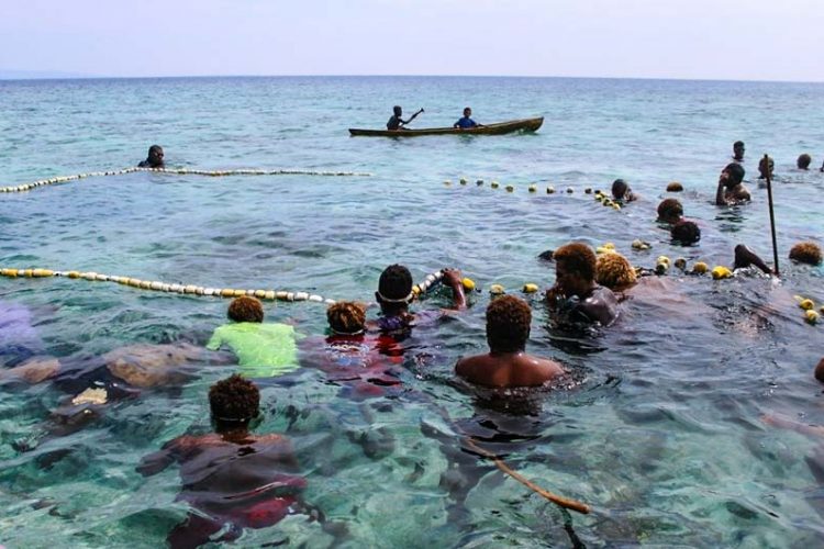 A group of men from Fumamato’o and men nearby communities fish together in shallow water (about shoulder depth) when the open-and-close area was opened. Photo WorldFish/Bira'au Wilson Saeni.