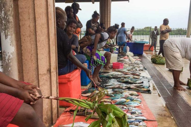 Vendors stand or sit on coolers under roof, with many small fish laid out for sale on tarps in front of them, at Gizo Fish Market, Solomon Islands. Photo George J Maelagi.