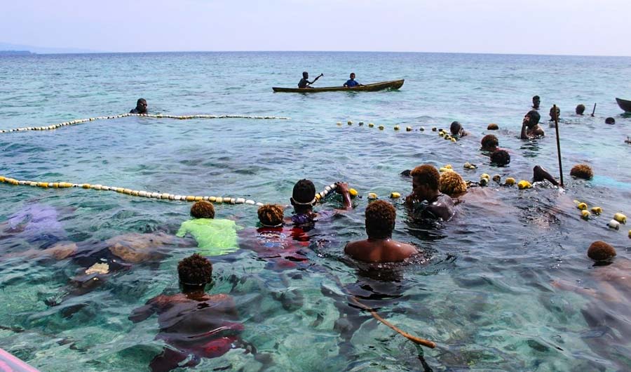 People in shallow clear ocean water gathered around a circling net